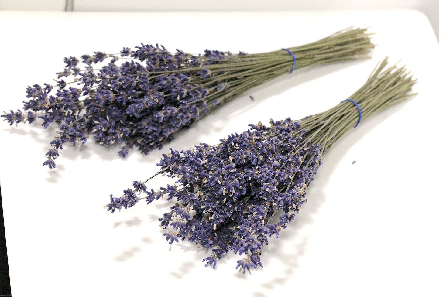 Set of 2 / 5 Organic English Lavender Bundles or 200x Long True Lavender Stems